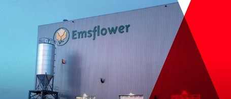 Emsflower